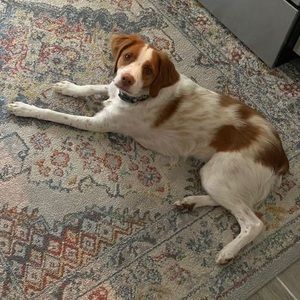 Meet your Posher, Melody